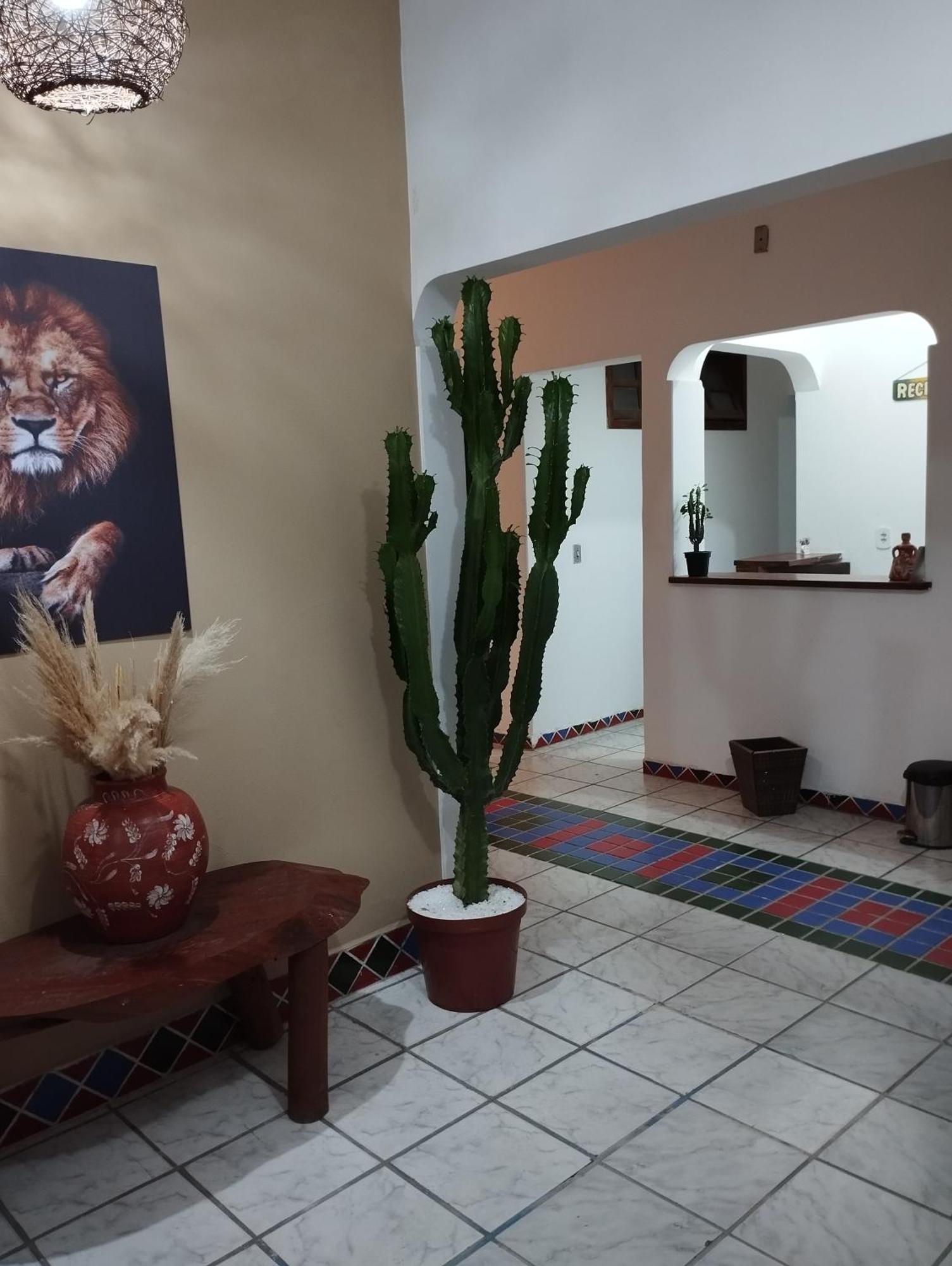 Pousada Ray Sol - Centro Arraial D Ajuda Порту-Сегуру Экстерьер фото